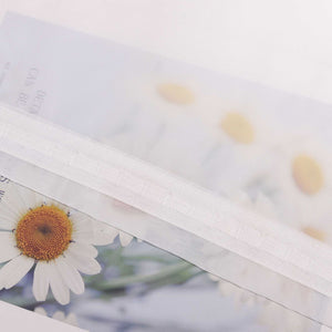 Curtain Solid Color Sheer Classic 1 Piece - White, W x H 145 x 260cm