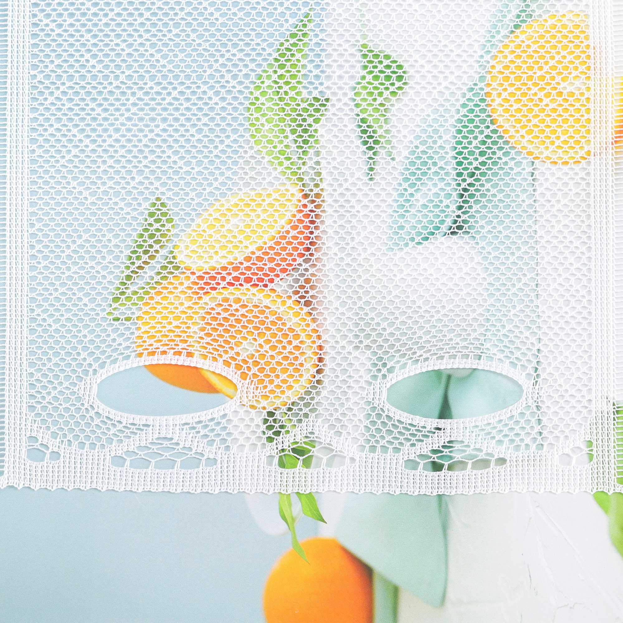 Sheer Cafe Curtain with Tulip Pattern