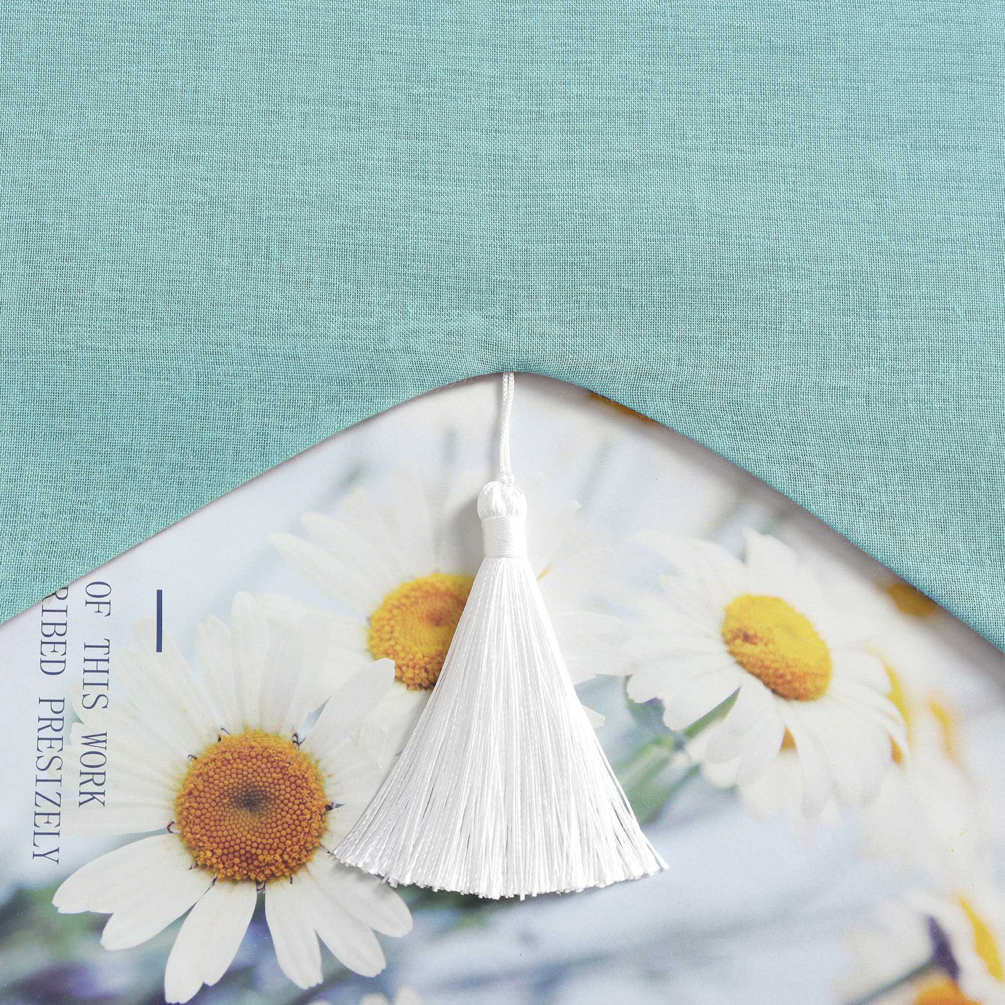 Delien Roman Shade with Tab-Top Hanging and Tassels