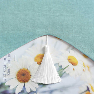 Delien Roman Shade with Tab-Top Hanging and Tassels