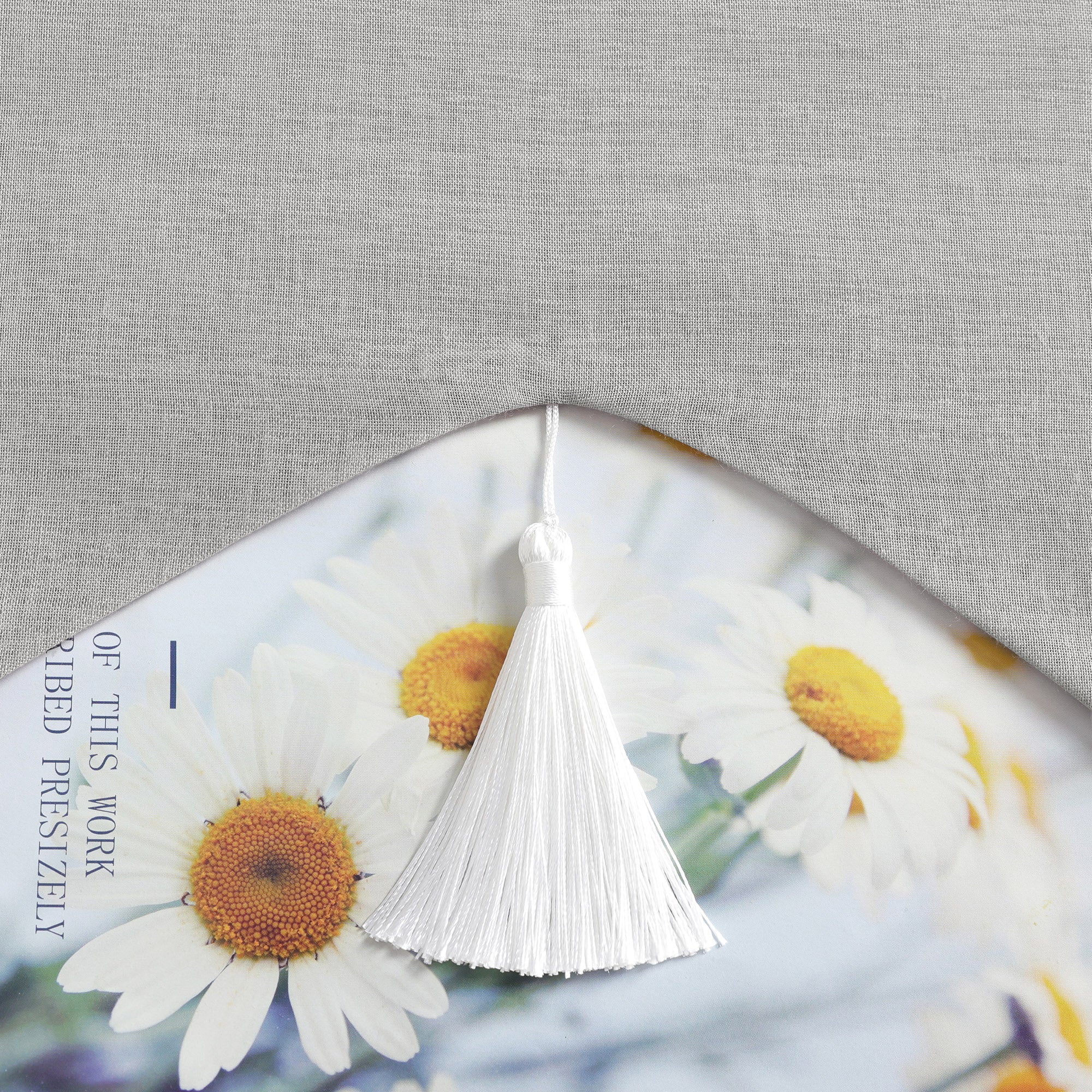 Delien Roman Shade with Tab-Top Hanging and Tassels - Beige, W x H 100 x 140cm
