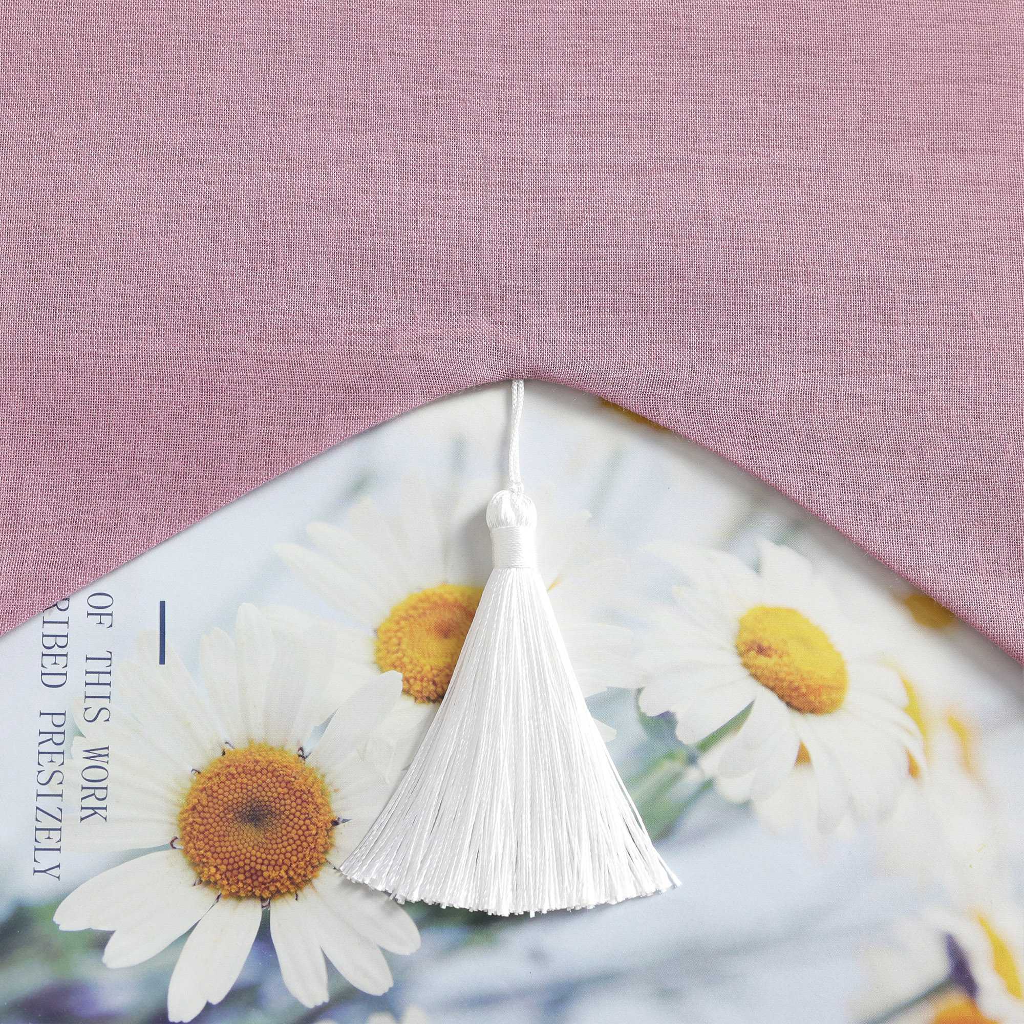 Delien Roman Shade with Tab-Top Hanging and Tassels